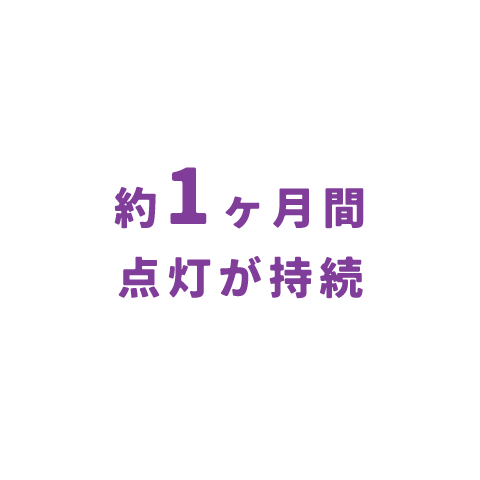 約1ヶ月間点灯が持続